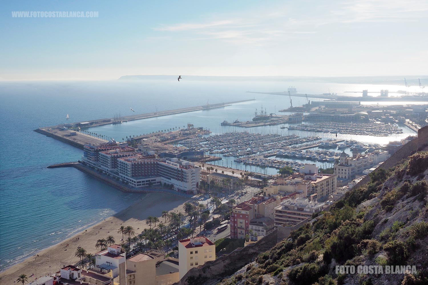  aerial photograph port alicante playa postiguet panoramic pictures alacant