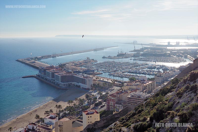 photo harbour city alicante panoramic beaches